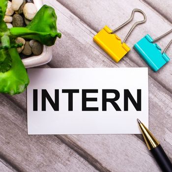 Internship Opportunities for Freshers