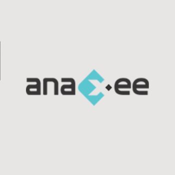 Data Analyst Intern at Anaxee, Indore